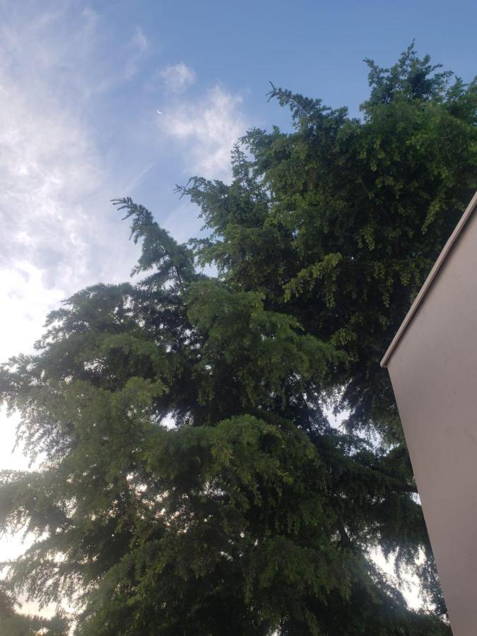 Apartment Matilde's Sun *
